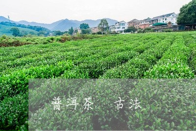 普洱茶 古法/2023042892508